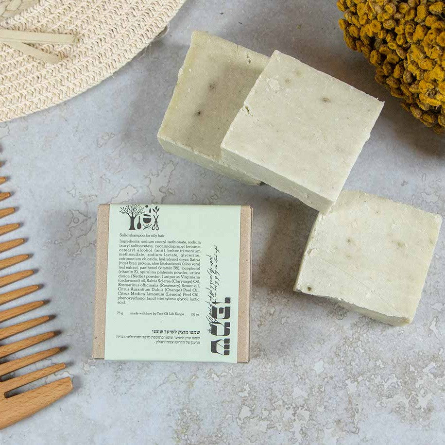 Solid shampoo for oily hair
