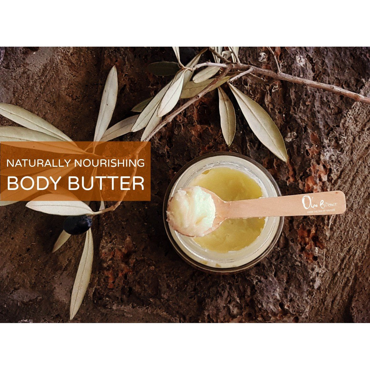 Body Butter - Olea Essence - Olea Essence - Israel Menu