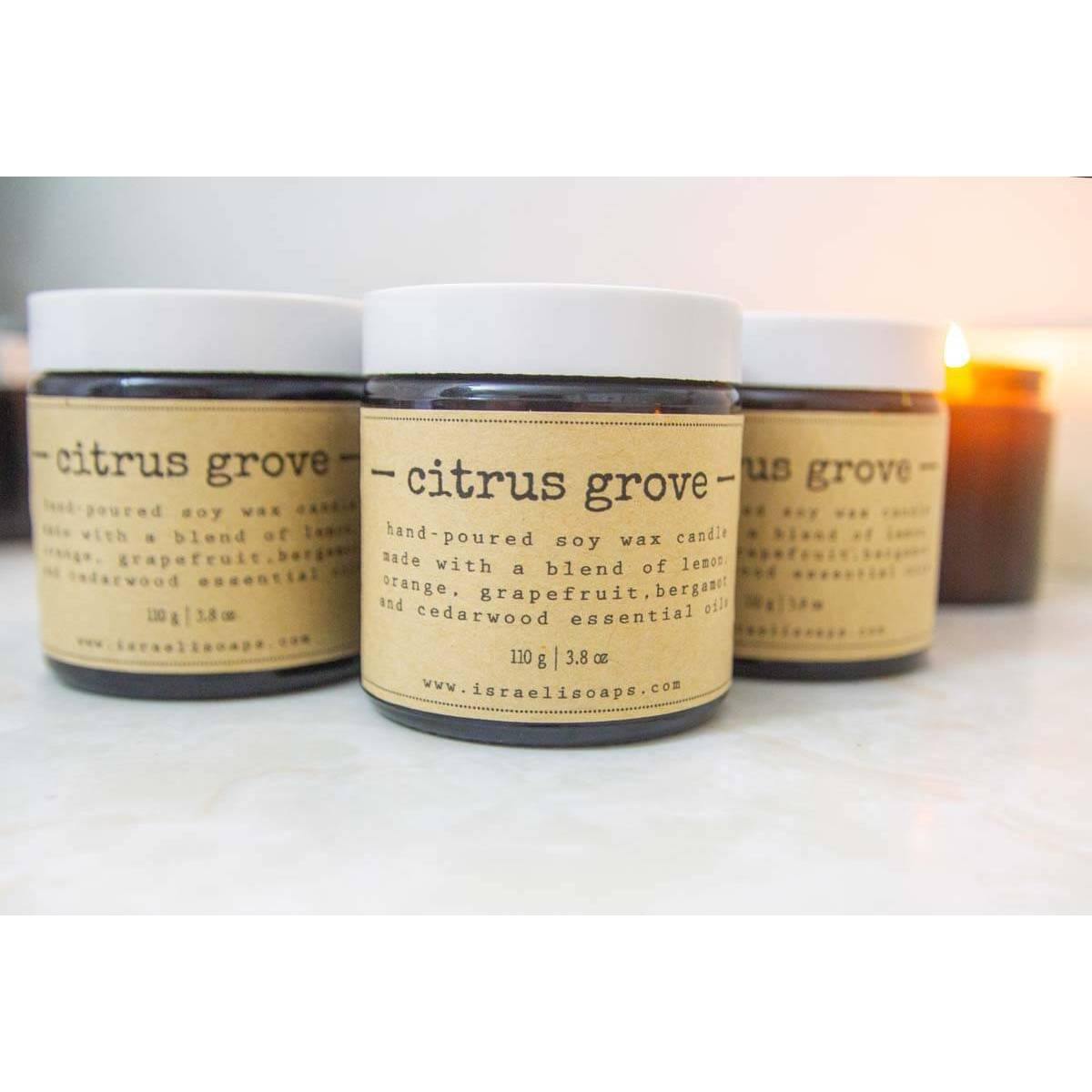 "Citrus Grove" Soy Candle - Tree of Life - Israel Menu